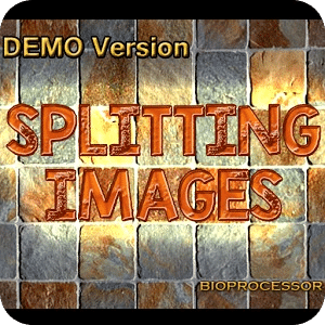 Splitting Images Demo