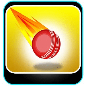 Cricket Ball Balance