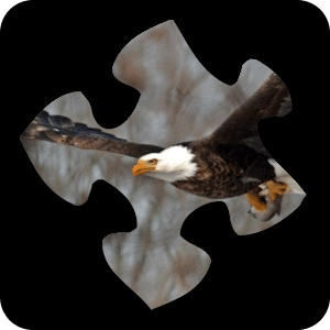 Bird Jigsaw Puzzles