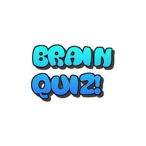 Brain Quiz
