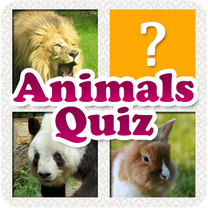 Animals Quiz