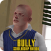 New Bully Scholarship Guide