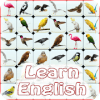 Onet Bird English