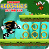 The Shadow Hedgehog Action Run