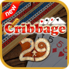 Cribbage 27