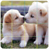 Puzzle Cute Dog