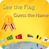 See The Flag - Guess The Name