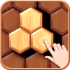 Hexagon Wood Block Puzzle