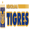 Memorama Tigres