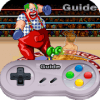 Guide Super Punch-Out!!