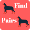 Find Pairs Memory Game