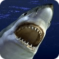 终极愤怒的鲨鱼模拟器