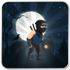 The Black Ninja Adventure