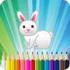 Rabbit Coloring Book