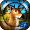 3d Wild Animal Hunting Jungle Shooter