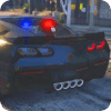 Police Car Racing in USA