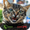 Fake Call: Cat Caller ID