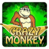 Crazy Monkey World