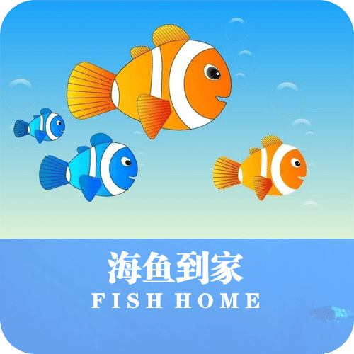 海鱼到家