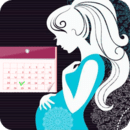 孕期宝宝周历