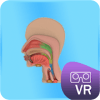 VR Organ Pencernaan