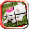 Puppy Slide Puzzle: baby animal free slider puzzle