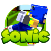 New Parkour Race Sonic X Minigame MCPE