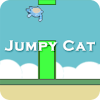 Jumpy Cat