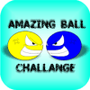 Amazing Ball Challange