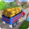 Cargo Indian Truck 3D