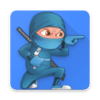 Ninja Dash Mania