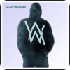 Alan Walker 2019