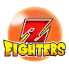 Z Fighters Arena – Super Saiyan Tournament