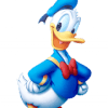 Donald White Duck
