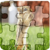 Animal Photo Puzzle