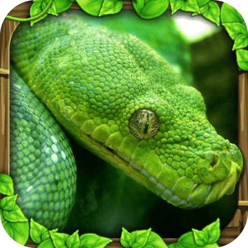 3D蟒蛇模拟