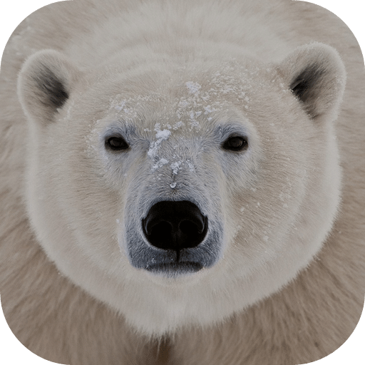模拟北极熊