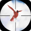 Desert Bird Shooting Hunting Game 2018