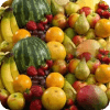 Fruits Quiz DC