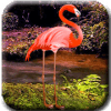 Flamingo Forest Escape