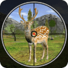 Forest Deer Hunting Season 2017