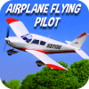 Airplane Flying Pilot Flight Plane Drive 2019