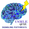 USMLE Quiz: Signaling Pathways