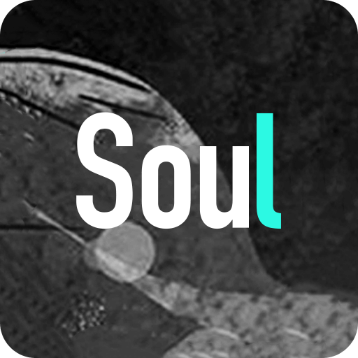 Soul-跟随灵魂找到你v3.0.22