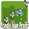 Fruits Panda Runner