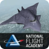 National Flight Academy