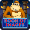 Book of images