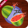 Fruit Expert Master 3D