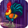 Kavi Escape Game 484 Rooster Escape Game