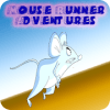 Mouse Runner Adventures